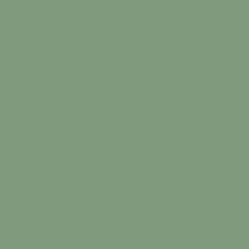 Color OIL/TOFU