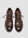 CALIXTE 079 - Brown Leather Oxford Shoes